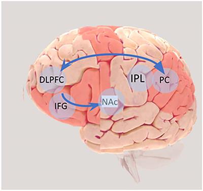 Systems Thinking in an era of climate change: Does cognitive neuroscience hold the key to improving environmental decision making? A perspective on Climate-Smart Agriculture